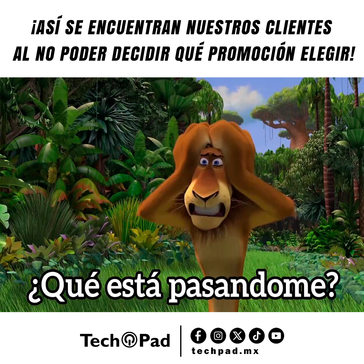 TabletsTechPad's tweet image. ¡No pierdas la cabeza y elige la que más te guste! 🤯😜🤩📱

Te invitamos a checar nuestra pagina;
techpad.mx

#TechPad