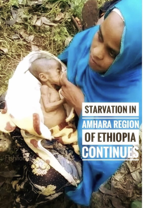 LeyatHona23's tweet photo. Humanitarian aid must be distributed based on need, not ethnicity. The @AbiyAhmedAli regime is using starvation as a weapon against the Amhara people by blocking aid. We urge @WFP and @USAID to act urgently to assist those in dire need. #AmharaGenocide. #WarOnAmhara @PowerUSAID https://t.co/7yKv0ibR2P