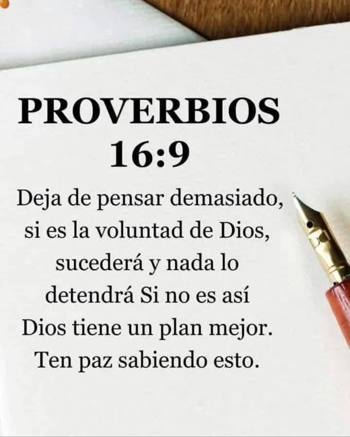 Maco_Rodas's tweet photo. 🙏 https://t.co/DsMWbHmCMT