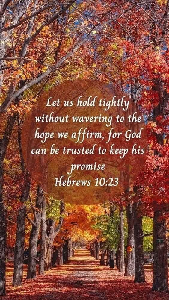 Let us hold fast the profession of our faith without wavering; for He is faithful that promised.
