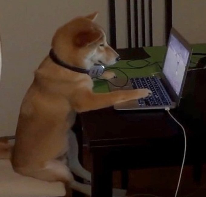 had another #ruffday