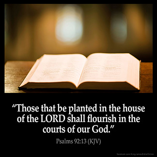 Connie Cline (@conniecline25) on Twitter photo 