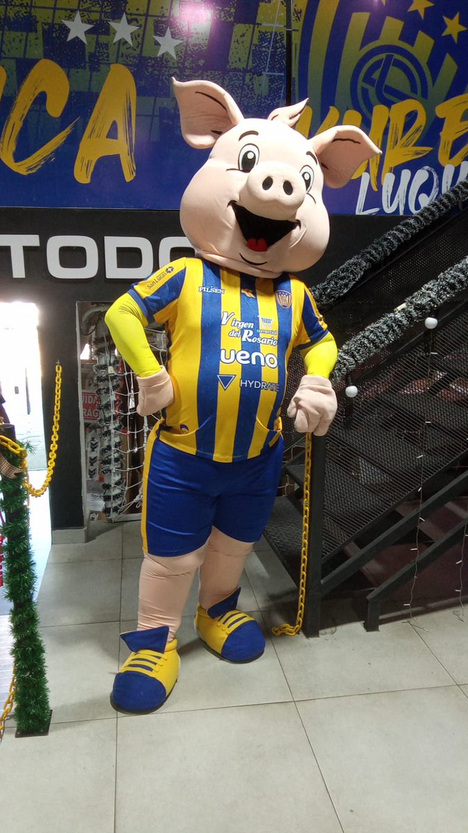 Kure_Luque's tweet photo. Hoy estuve por la tienda de @kyriospy !! 
Mañana arrancamos con todo💪🏻🐷🇺🇦 @LuisBogado2 https://t.co/Tt6zKOZsX6