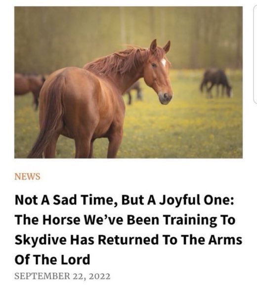 horse skydive
