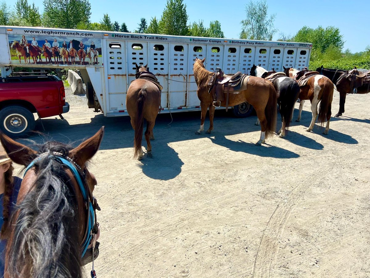 I enjoyed riding horses with my friends after work.🐎🐎