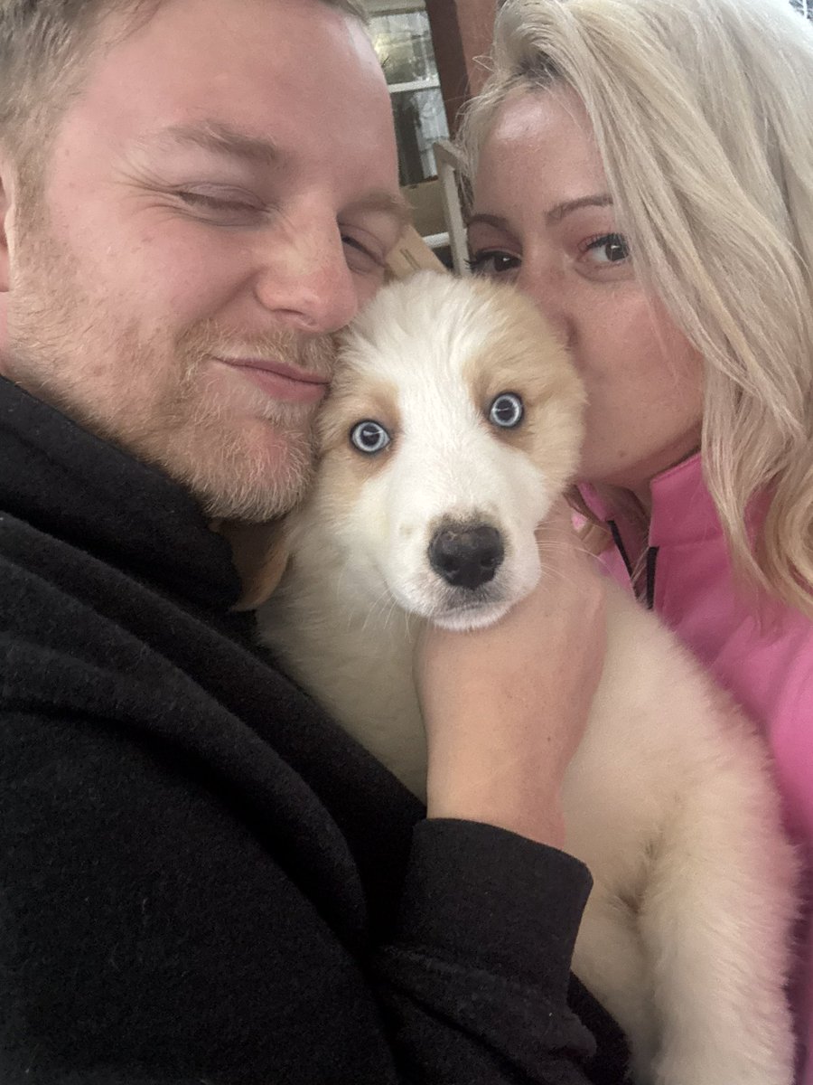 Scene Queen tweet media