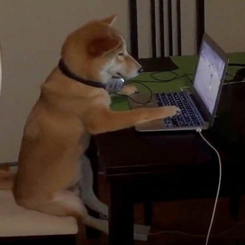 domodegen's tweet image. ITS BEEN A #RUFFDAY INDEED

6R1fgmz8v7ndGvN7RTuJjMNSRNBZwuUVH27Bixe6pump