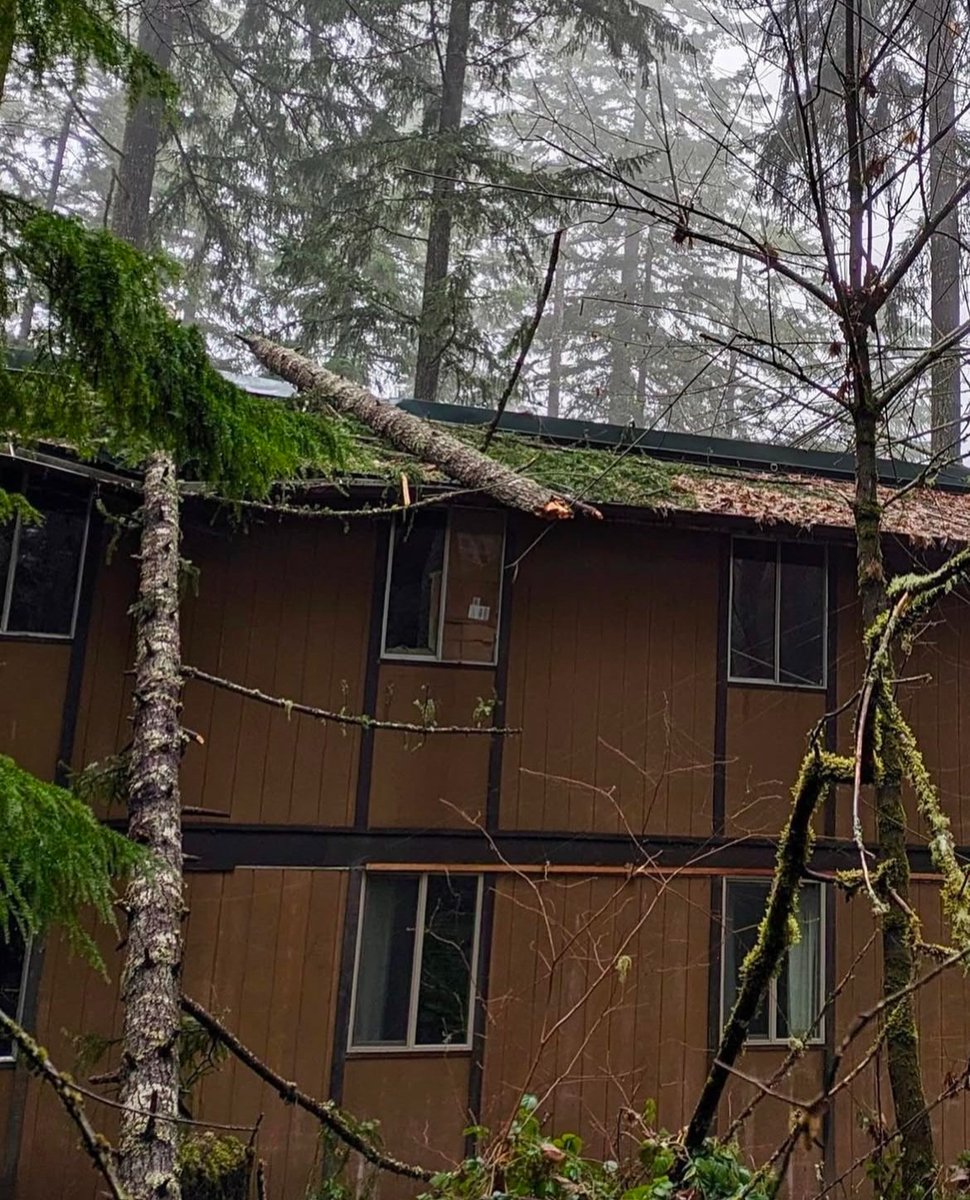 🌩️ Nature's reminder to slow down, connect &amp; prepare
Last night's severe storm left Dexter with downed trees &amp; power outages. But here's the beautiful thing: our community has handled this before - thanks to that 14-day "icepocalypse" last January! 😅