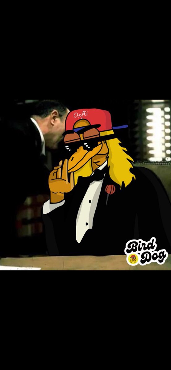 BirdDog tweet media