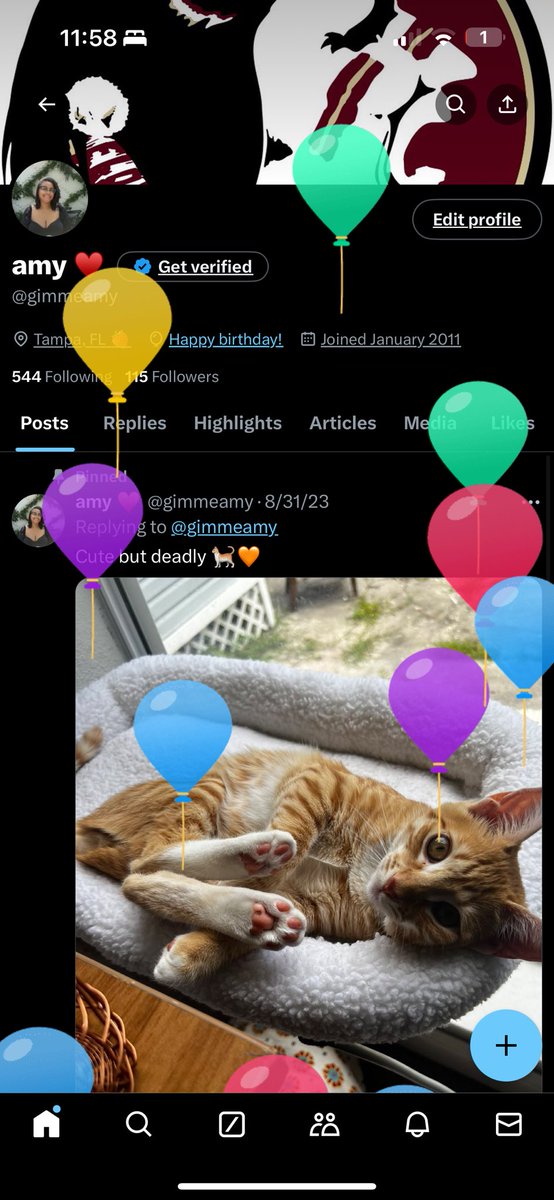 gimmeamy's tweet photo. Twas a delightful occasion ✨ https://t.co/CA1yoIogJN