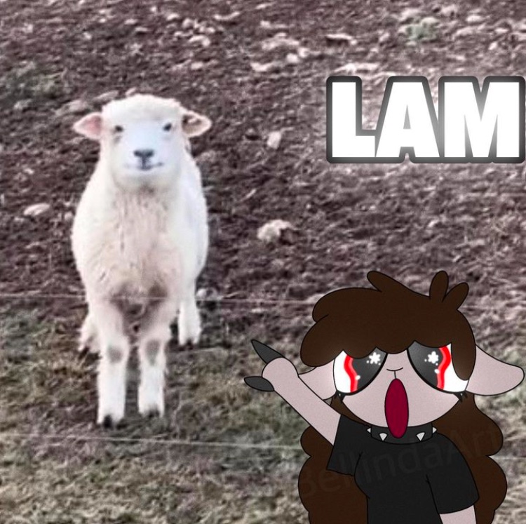 Haven’t posted here in ages! D: I have lots of drawings from 2023 and 2024 I want to share! :) Here’s the debut of my LPS mascot also in anthro form. Meet Belle Lamb! ( October 2023 )
