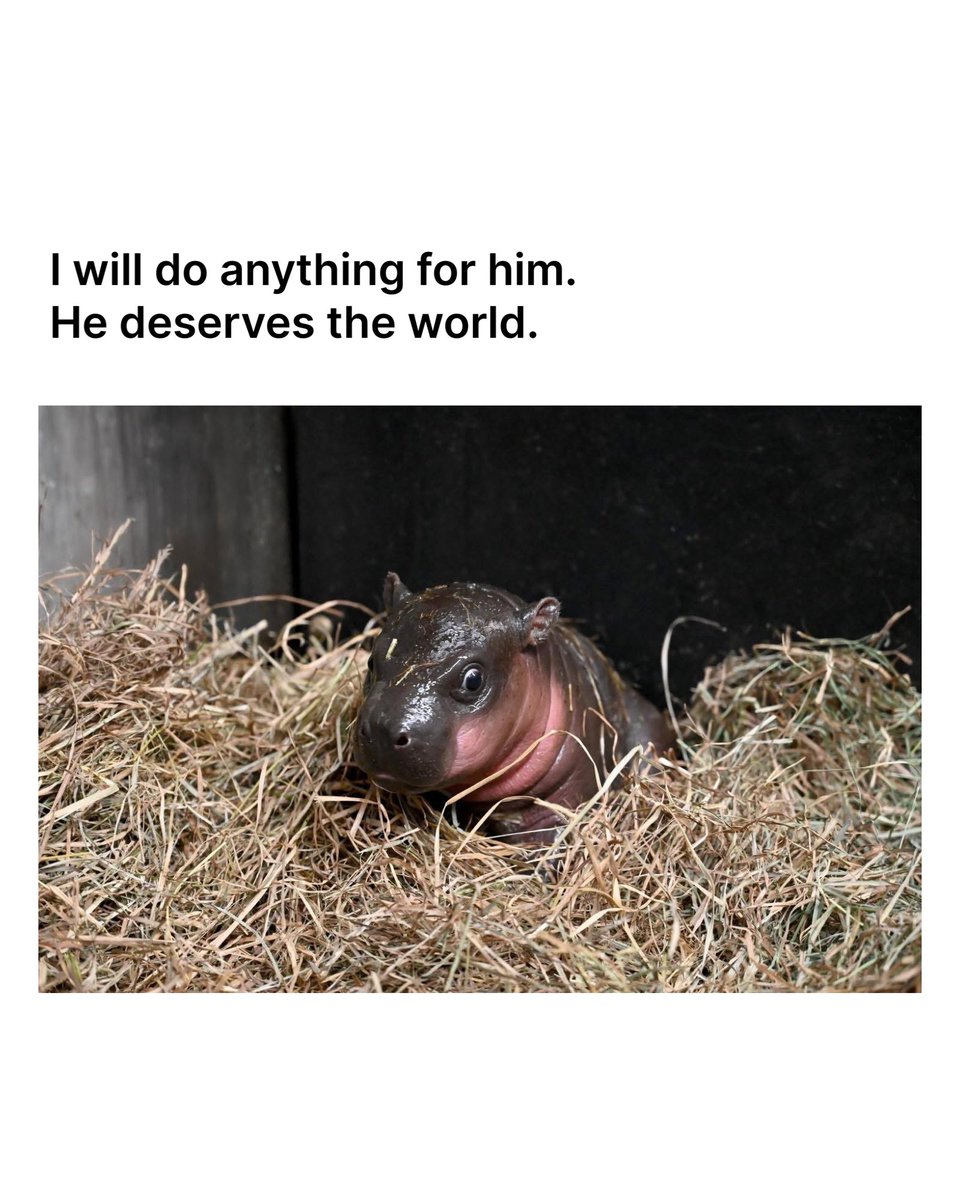 RVA Coffee Stain (@rvacoffeestain) on Twitter photo 