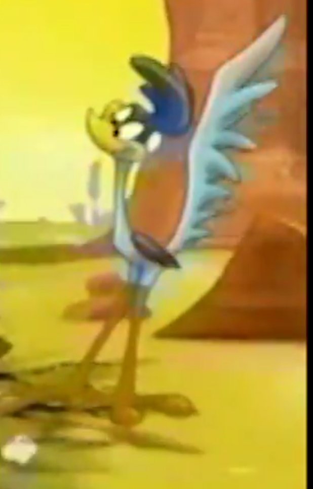 Road_Runner1949's tweet photo. Day 1002 BEEP BEEP What might this gizmo be? 

#LooneyTunesRoadRunner
#Road_Runner1949
#daily
#Day1002
#RoadRunnerLooneyTunes
#DailyDoseofRoadRunner
#DailyDose
#DailyPost
@Road_Runner1949
 #LooneyTunes https://t.co/lQkEFGaA9u