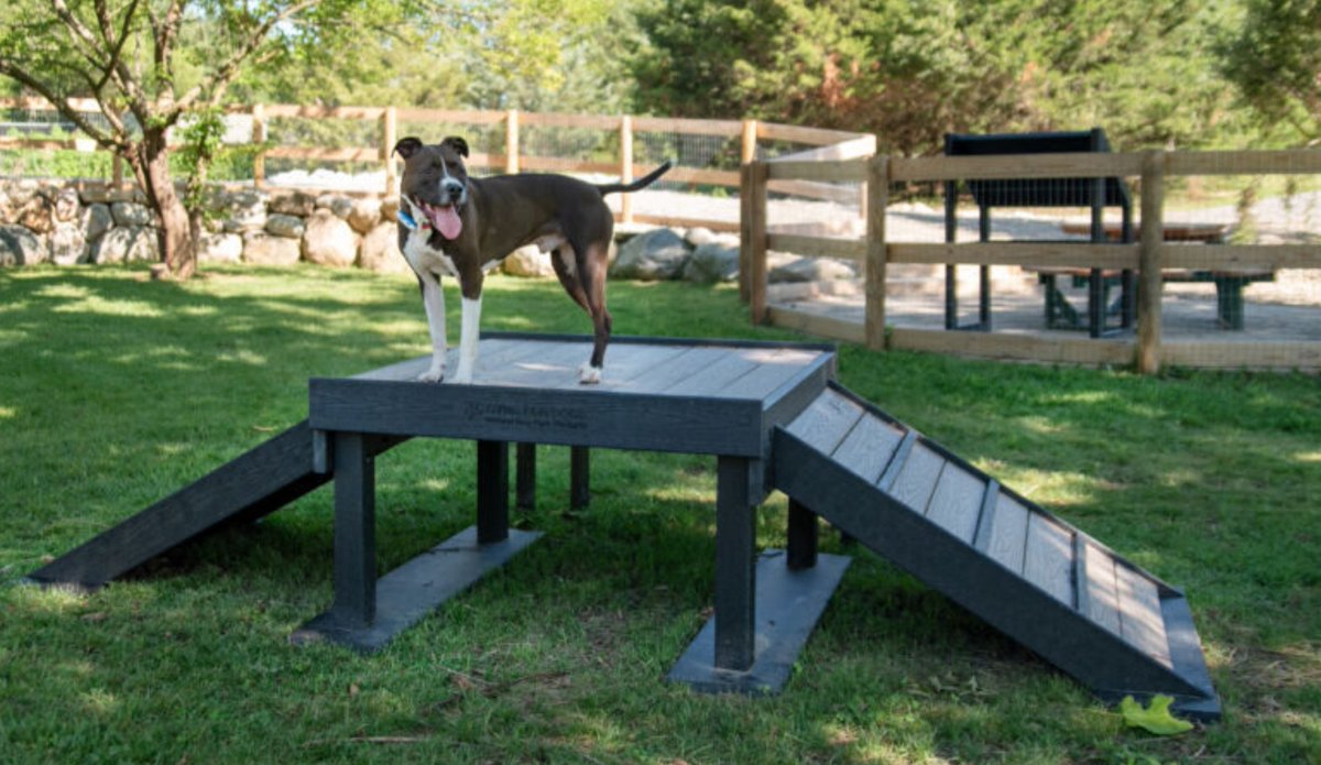 GymsForDogs's tweet photo. @DogParkPlay https://t.co/RuXcGE9rYN