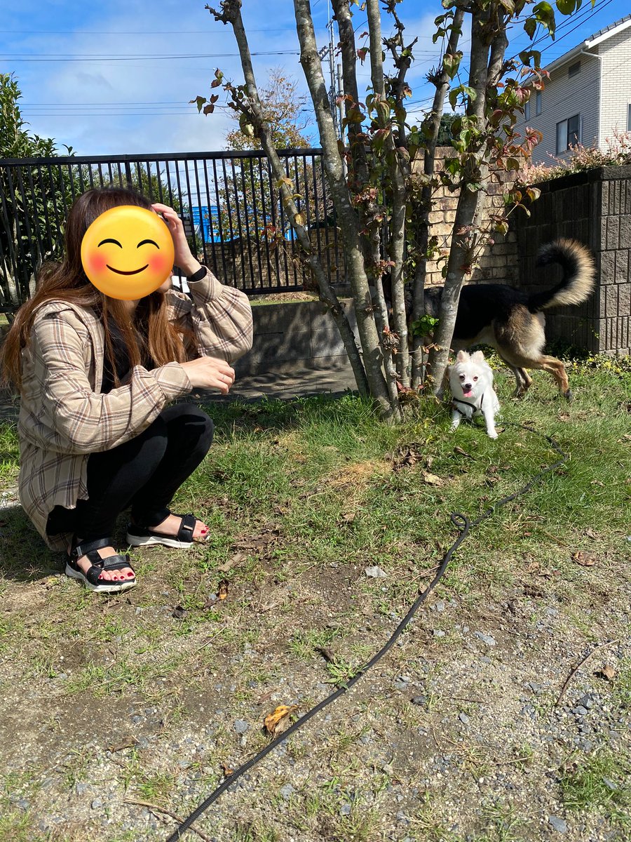 ExRicherd's tweet photo. 本日2024年12月27日
みねしー＆ぴえろ結婚しました💍
5年前にapexの野良で出会い付き合って3年での結婚です😌
アホな2人ですがこれからもよろしくお願いします😊 https://t.co/ISjsUBTqGk
