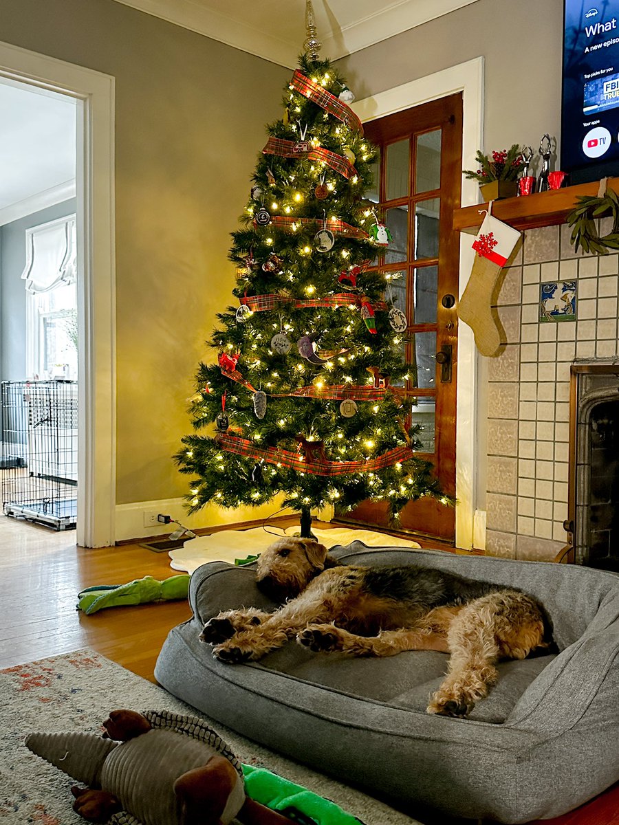 Allison McKenzie tweet media