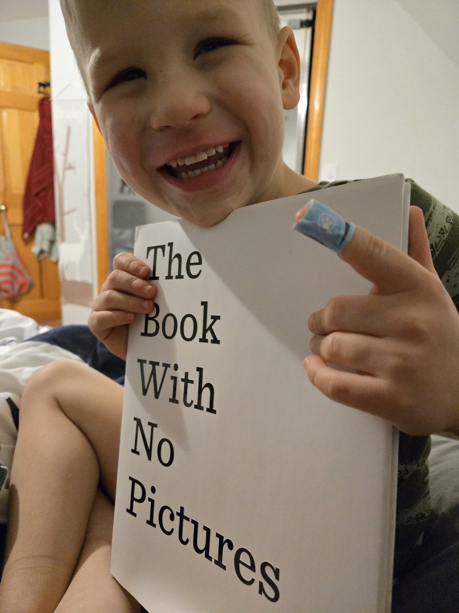 yeahifish's tweet photo. @BJ__Novak new book for Christmas. Reading it in Fayette, Maine. #thetempwroteabook https://t.co/TQ9BRApFT0