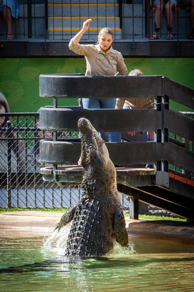 Bindi Irwin (@bindiirwin) on Twitter photo Crikey! Summer holidays are in full swing here! Hope to see you on your next <a href="/AustraliaZoo/">Australia Zoo</a> adventure. 🐊 Crikey! Summer holidays are in full swing here! Hope to see you on your next <a href="/AustraliaZoo/">Australia Zoo</a> adventure. 🐊