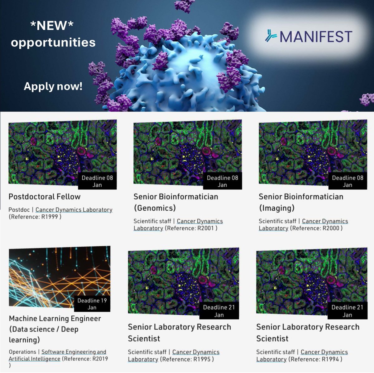 Jon Lim, MRCP PhD (@drjonlim) on Twitter photo 🚀 We are really getting going with <a href="/MANIFEST_CIRRP/">MANIFEST IO</a>!
More positions now open:
💻 Postdoc (Computational Modelling)
🧬 Senior Bioinformatician (Genomics)
🔬 Senior Bioinformatician (Imaging)
💻 Data/ML Engineer
🔬 Senior LRS (Spatial)
🧪 Senior LRS (Flow)
Click for more👇 🚀 We are really getting going with <a href="/MANIFEST_CIRRP/">MANIFEST IO</a>!
More positions now open:
💻 Postdoc (Computational Modelling)
🧬 Senior Bioinformatician (Genomics)
🔬 Senior Bioinformatician (Imaging)
💻 Data/ML Engineer
🔬 Senior LRS (Spatial)
🧪 Senior LRS (Flow)
Click for more👇