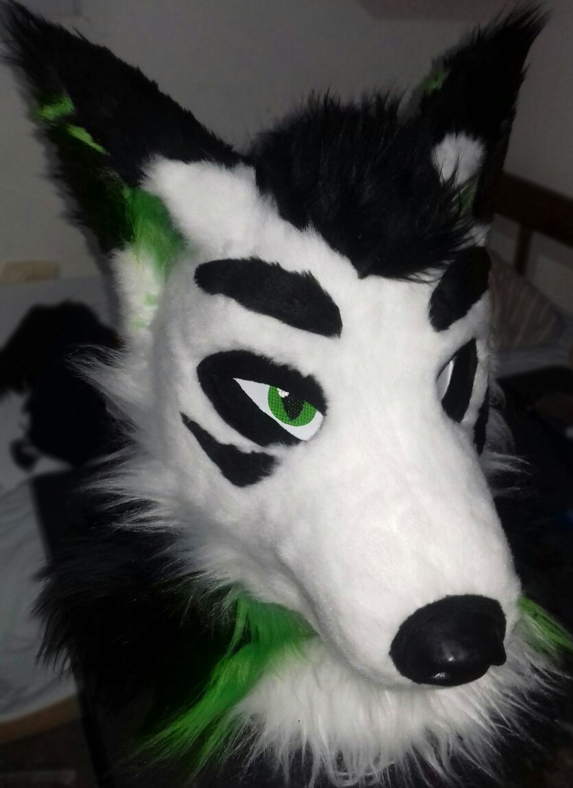 theruskyfactory's tweet photo. Mel el Lobo! 🐺

- Parcial (Head, cola y manos) hecho en 2023 🪡🧵 https://t.co/9wgOD1v89t