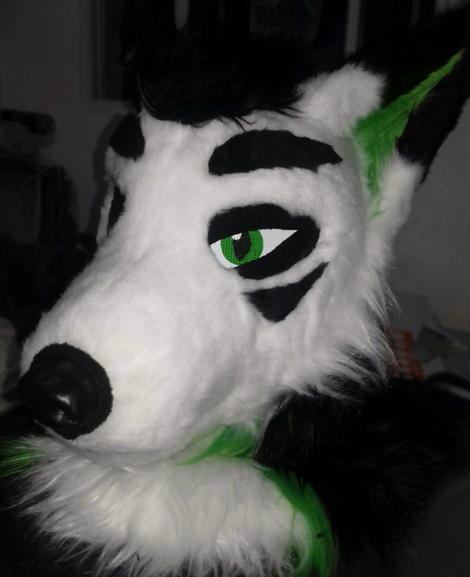theruskyfactory's tweet photo. Mel el Lobo! 🐺

- Parcial (Head, cola y manos) hecho en 2023 🪡🧵 https://t.co/9wgOD1v89t