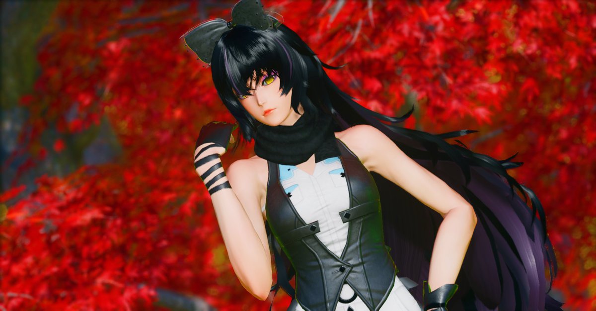 AkitaCharms's tweet image. "From Shadows"
My Blake Belladonna on PSO2
