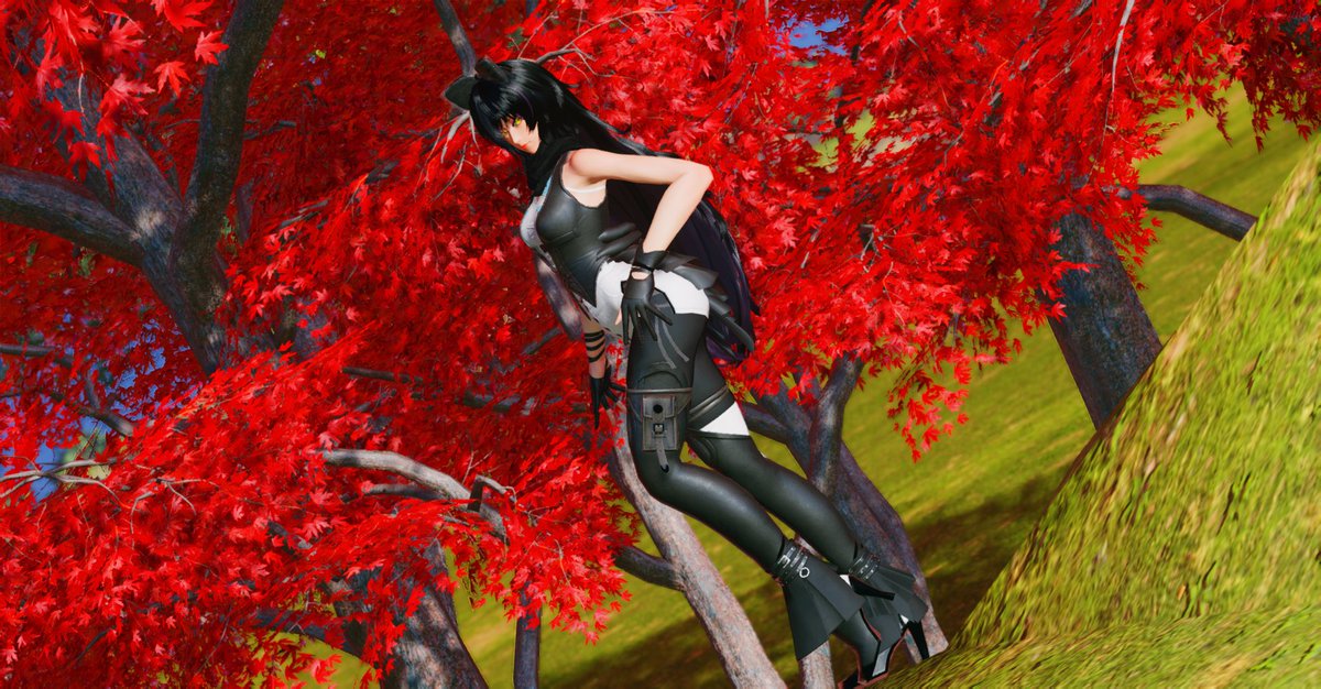 AkitaCharms's tweet image. "From Shadows"
My Blake Belladonna on PSO2