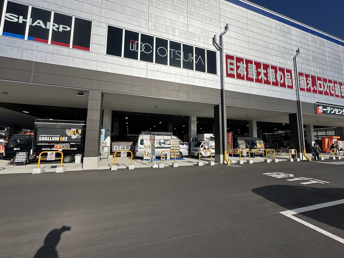 Shallow Bee tweet media