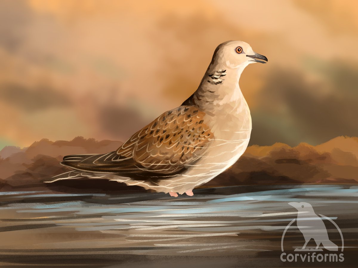 Good Egg 🐣on🦋 tweet media