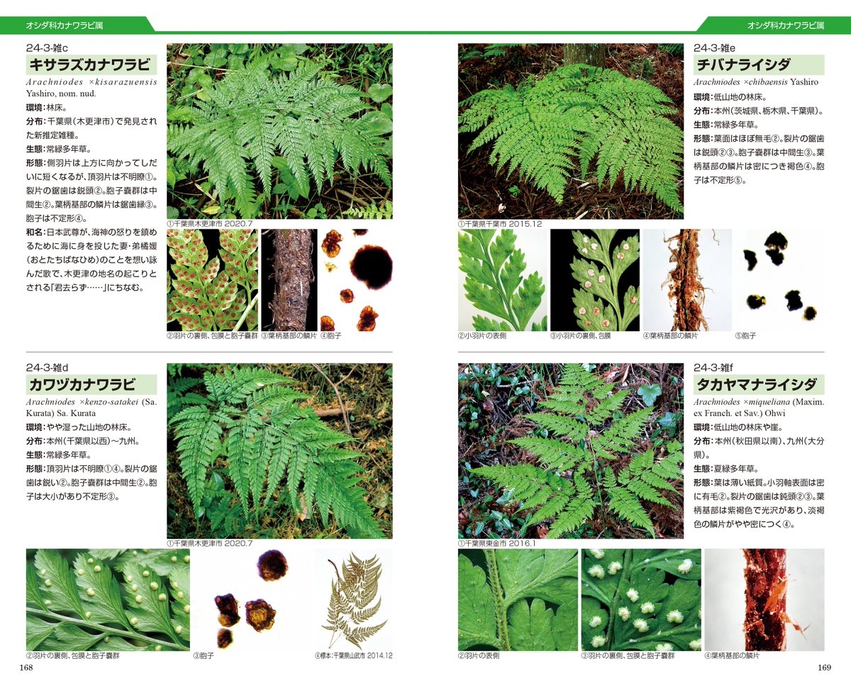 全国農村教育協会 (出版社) (@ZENNOKYO) / Posts / X