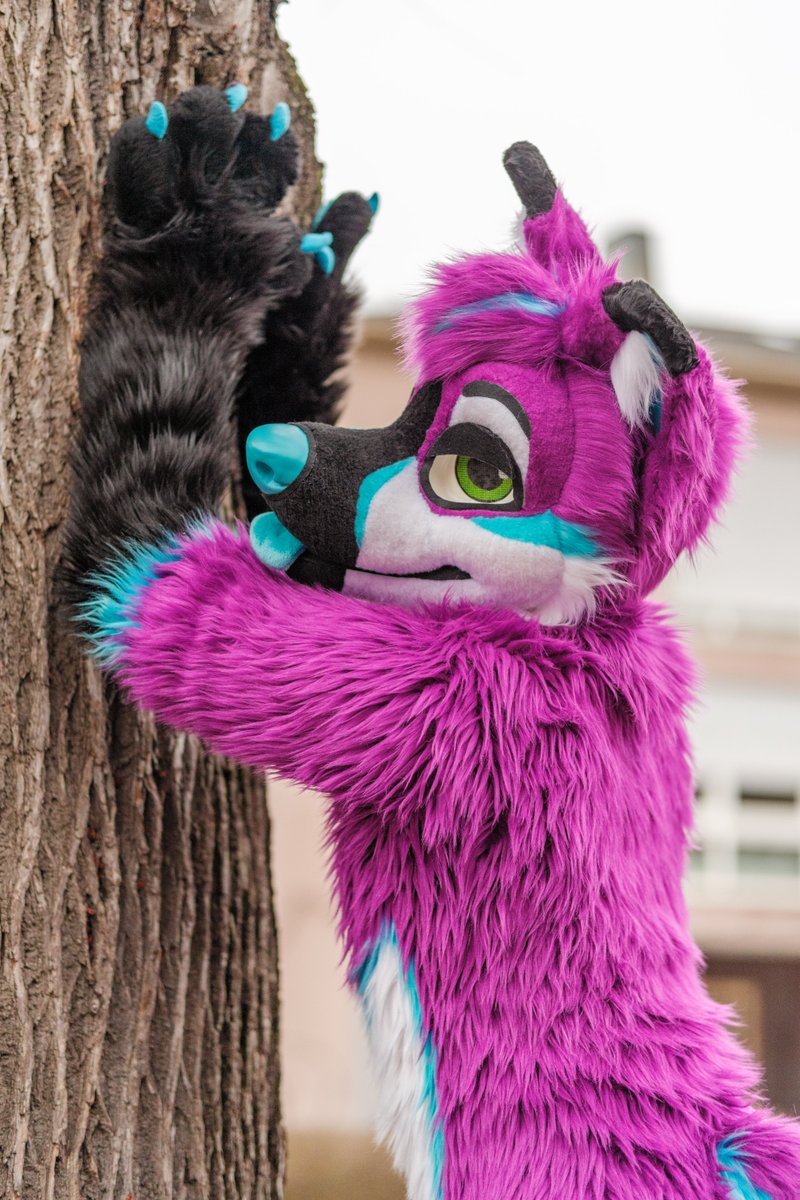 Time to do some stretches! 😳

📸 <a href="/ShizahLombax/">Shizah 🇩🇪</a>