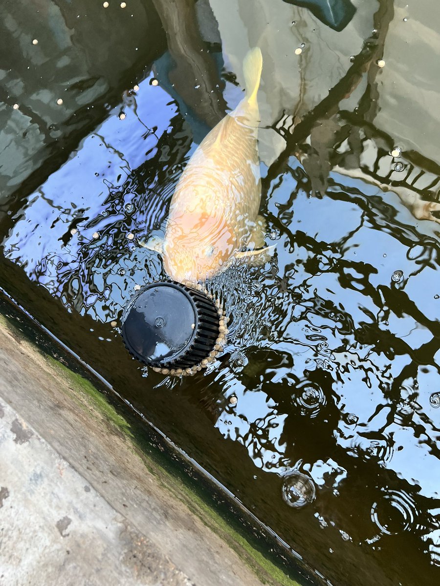 又近周末，已定好去临沂汤头泡温泉