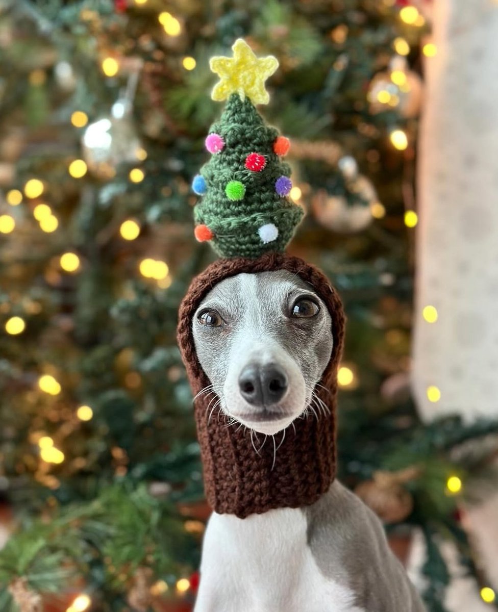 If you're not spreading joy and positivity this holiday season get the FUCK up out this trap house