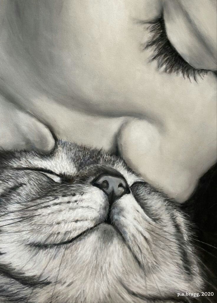 Sueños de Poemas® tweet media
