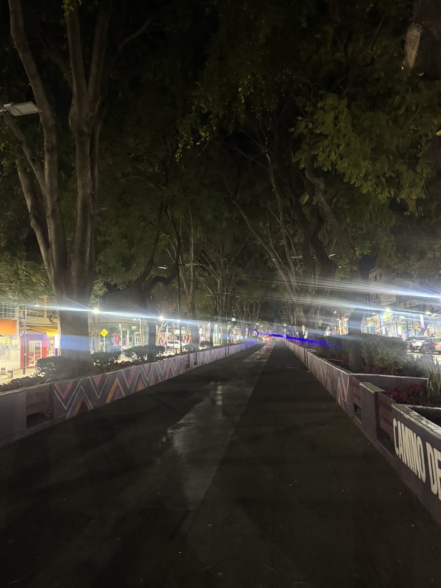 i_alaniis's tweet photo. Nos duró poco el gusto del recién inaugurado “camino de mujeres libres y seguras” en calzada de Guadalupe. 

Estuvo bien iluminado durante el paso de peregrinos y autoridades. Ahorita está a oscuras el tramo de Euzkaro y Fortuna @TuAlcaldiaGAM @ClaraBrugadaM @yancolozano https://t.co/qDOULBJfLu