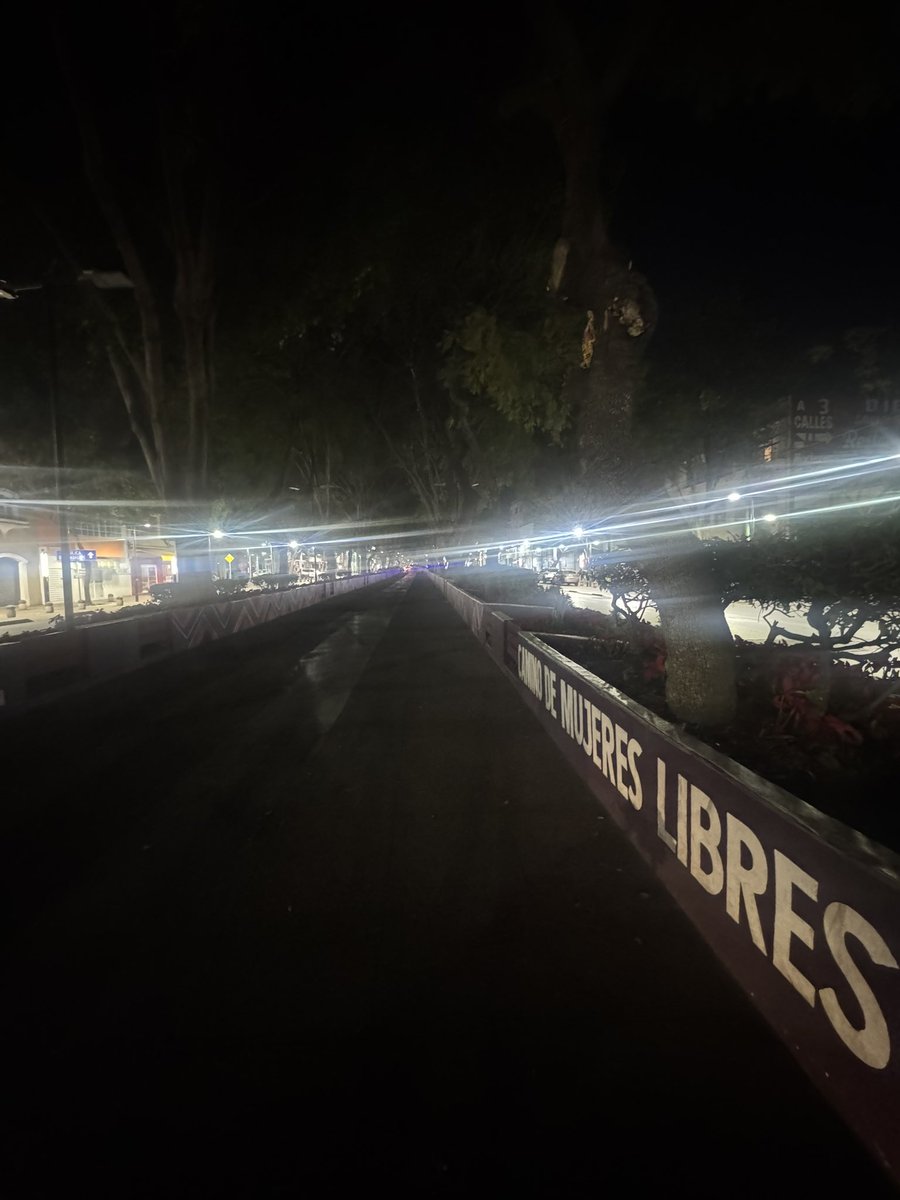 i_alaniis's tweet photo. Nos duró poco el gusto del recién inaugurado “camino de mujeres libres y seguras” en calzada de Guadalupe. 

Estuvo bien iluminado durante el paso de peregrinos y autoridades. Ahorita está a oscuras el tramo de Euzkaro y Fortuna @TuAlcaldiaGAM @ClaraBrugadaM @yancolozano https://t.co/qDOULBJfLu
