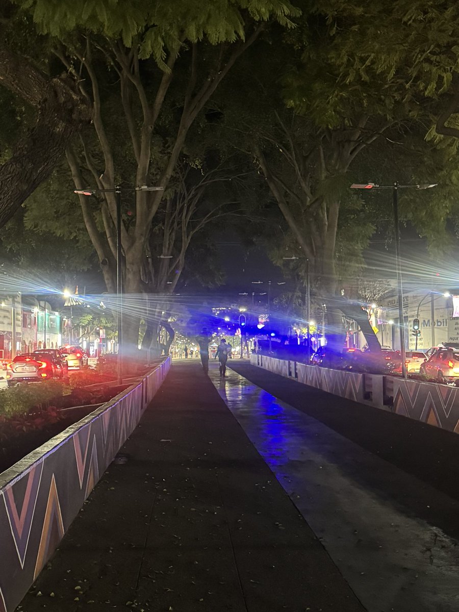 i_alaniis's tweet photo. Nos duró poco el gusto del recién inaugurado “camino de mujeres libres y seguras” en calzada de Guadalupe. 

Estuvo bien iluminado durante el paso de peregrinos y autoridades. Ahorita está a oscuras el tramo de Euzkaro y Fortuna @TuAlcaldiaGAM @ClaraBrugadaM @yancolozano https://t.co/qDOULBJfLu