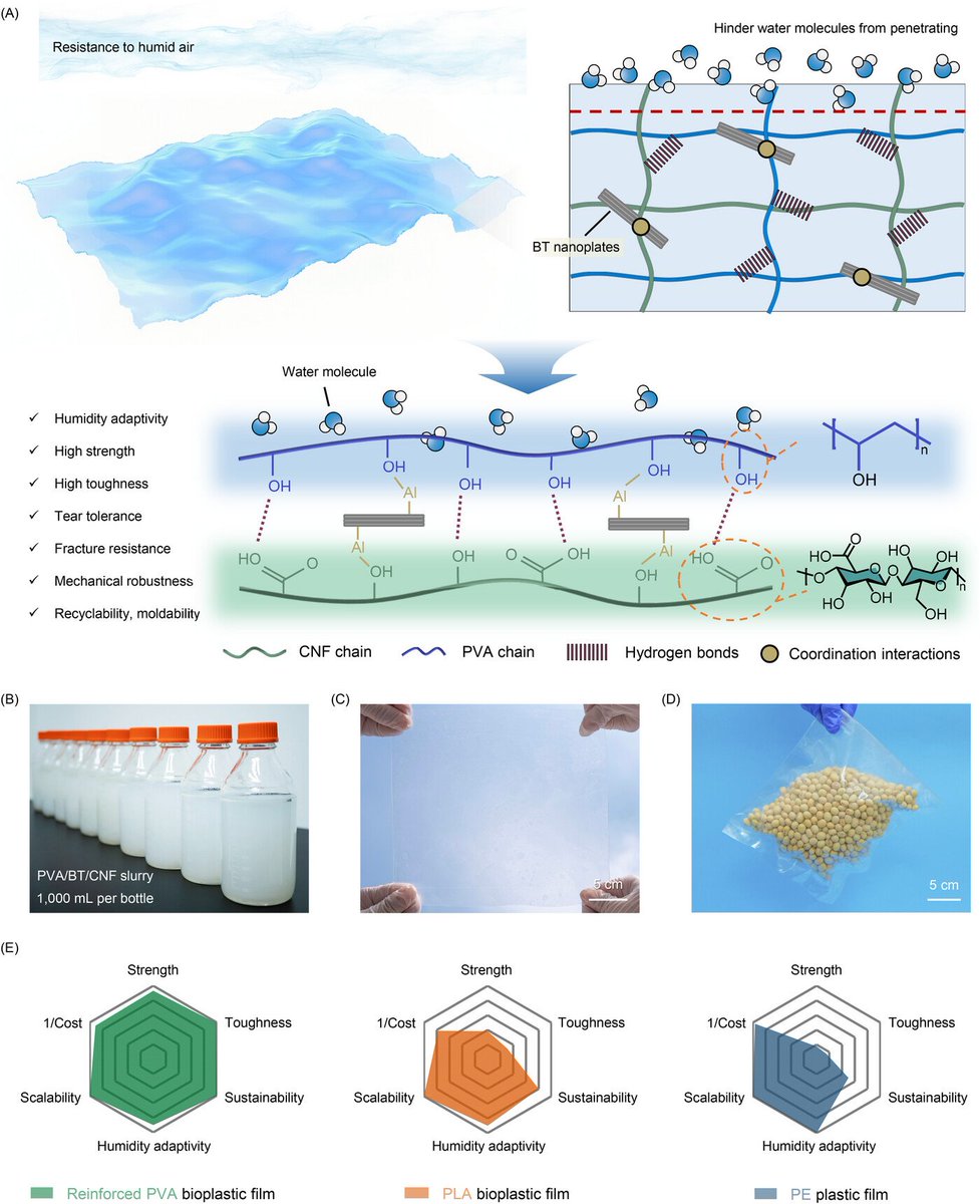 AggregateOA's tweet image. New Research Article🔬
&quot;#Humidity-adaptive, mechanically robust, and #recyclable #bioplastic films amplified by #nanoconfined assembly&quot; by He Liu, Ziqi Tian &amp;amp; Xu Xu et al. @Wiley_Chemistry @WileyTech
 
Check👉doi.org/10.1002/agt2.6…