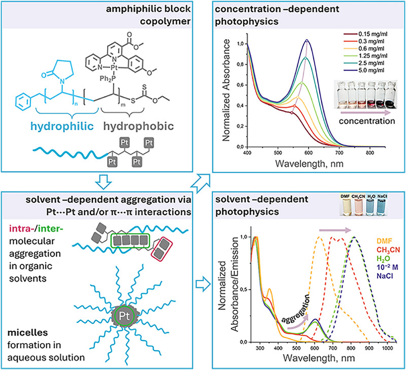 AggregateOA's tweet photo. Early View💡
"#RAFT #Copolymerization of Pt(II) Pincer Complexes With Water-Soluble #Polymer as an Efficient Way to Obtain Micellar-Type Nanoparticles With Aggregation-Induced NIR Emission" by Julia R. Shakirova & Sergey P. Tunik et al. @spb_university @Wiley_Chemistry #AIE #micelle #platinum
Check👉https://t.co/3vj1jkrQK0