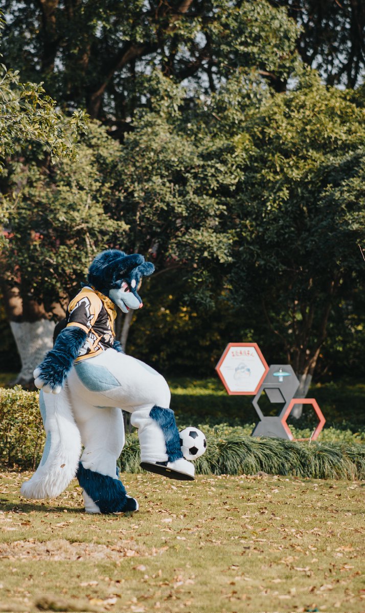 Soccer training.

#ケモノサッカー部 
#FursuitFriday