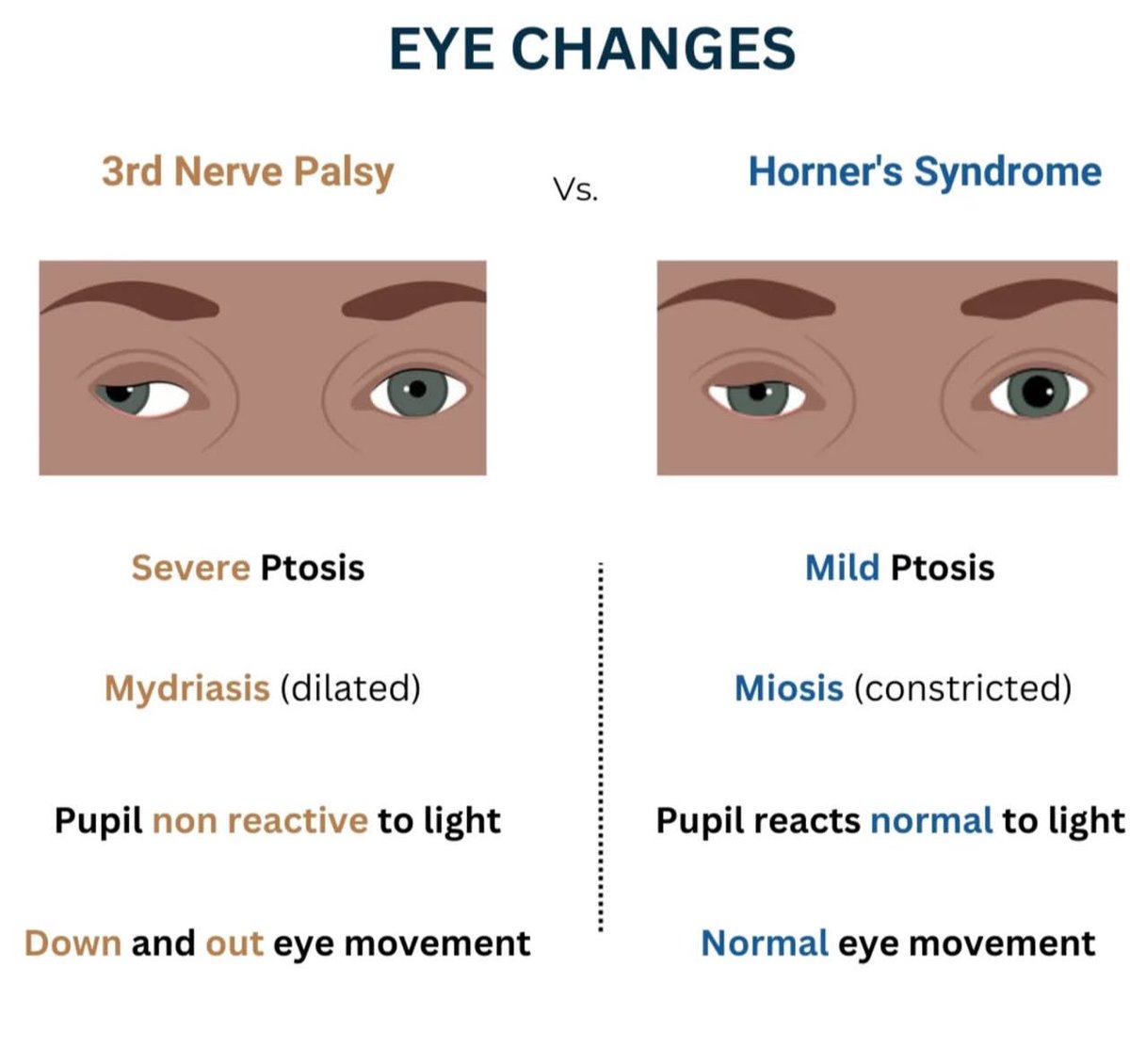 Eye Changes 👁️ 

🧿🧿🧿
#MedEd #MedX #CardioMed #Anatomy