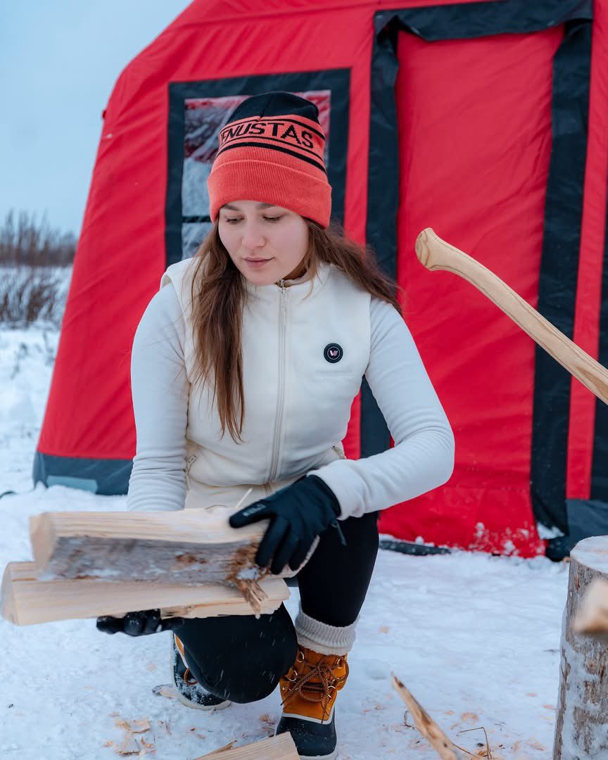Mushukning yaqin plandagi fotosurati yuqori sifatli
