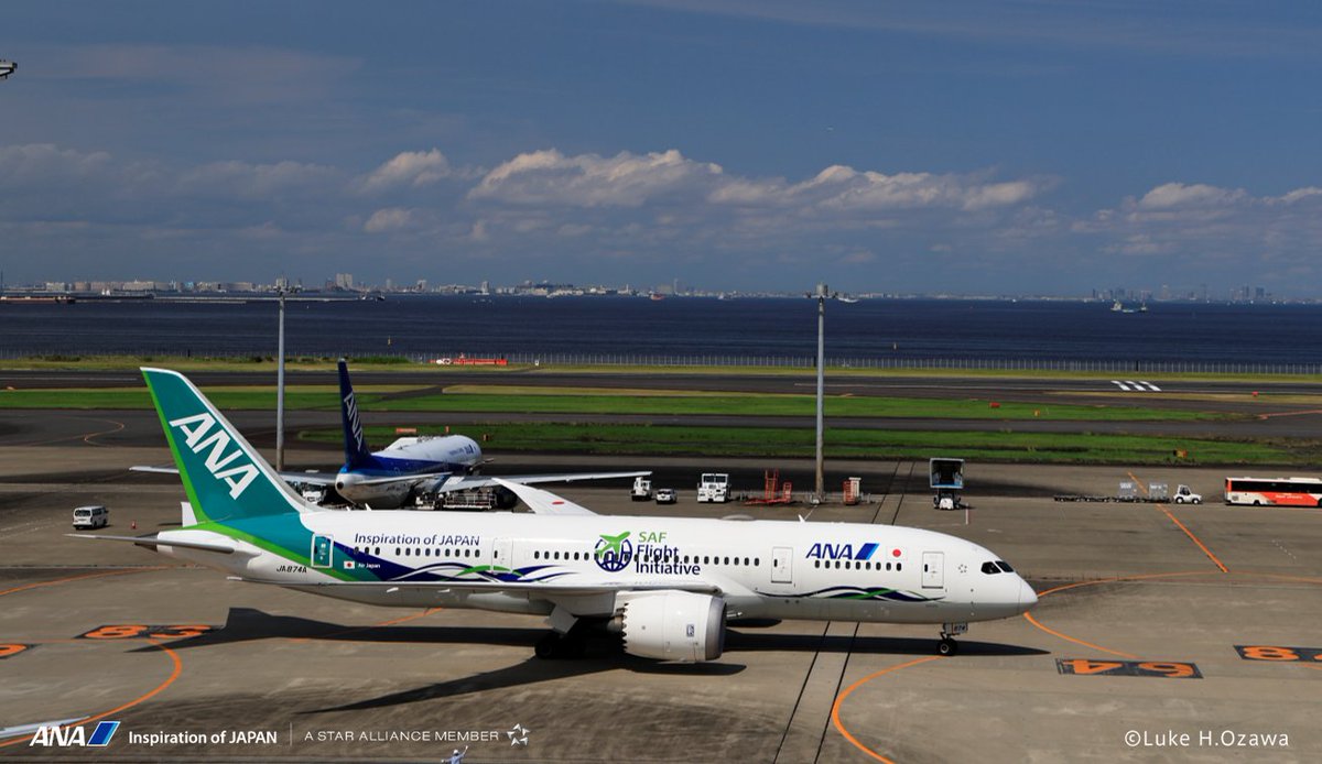 ANA_travel_info's tweet photo. 今日は #色の日 。
空と大地のあいだに、鮮やかなグリーンが映える ANA Future Promise ジェット ✈️
ANAの象徴である青とは異なる、特別な緑色に込められた想いを知っていますか?✨
https://t.co/40WVUEZlyA
#FuturePromiseJet #ANA #色の日 https://t.co/s4MPumJ96m