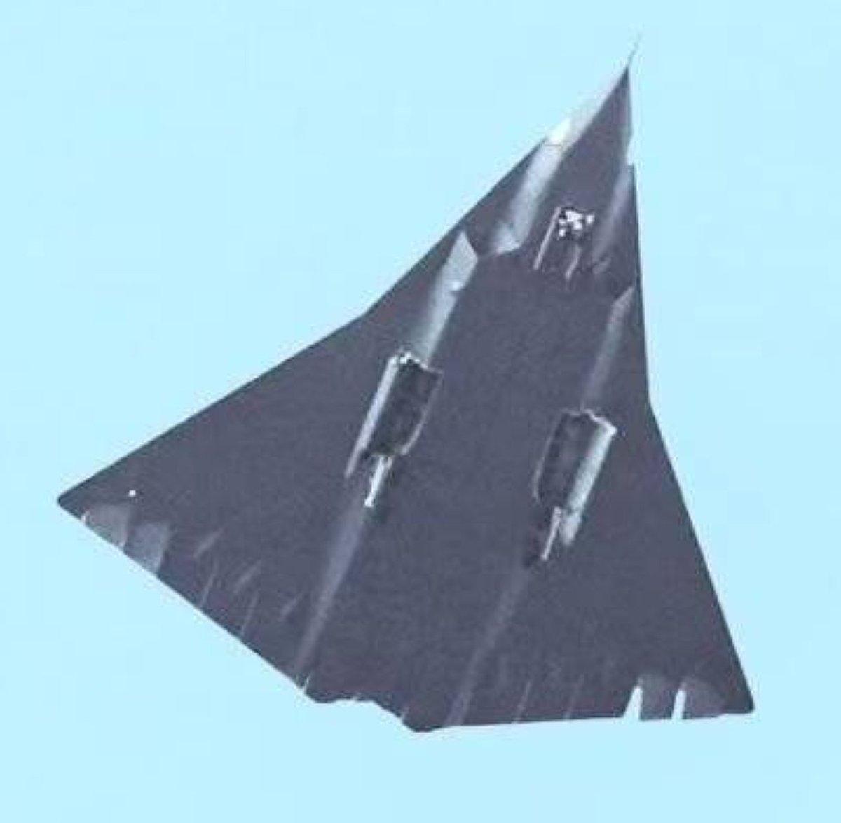 龙末的宠物 tweet media