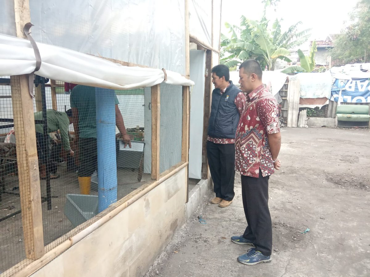 KelSukapada's tweet photo. Giat Lurah dan Kasi Ekbang Sukapada melaksanakan panen perdana bersama Pengurus Buruan Sae HEJO DAUN dan Warga RW 04 Kelurahan Sukapada.
Jumat, 27 Desember 2024
#kelurahansukapada #cibkidtersenyum #buruansae https://t.co/6UF9Aua0jn