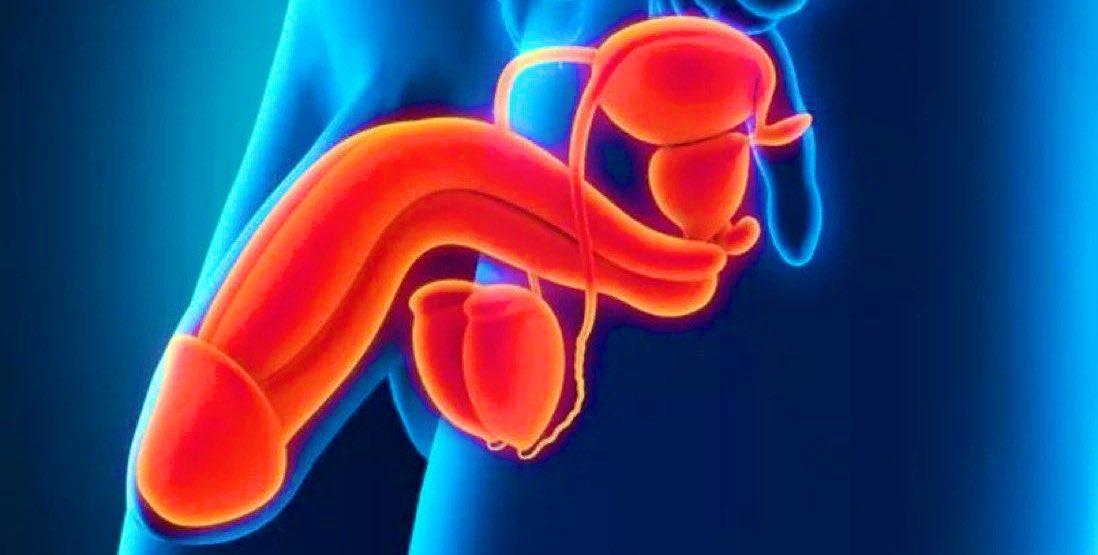 MAZOEZI 5 KILA MWANAUME ANAHITAJI ILI KUSIMAMISHA IMARA KWA TENDO BORA

(Wanawake, muoneshe Bwana wako hii)

UZI 🧵