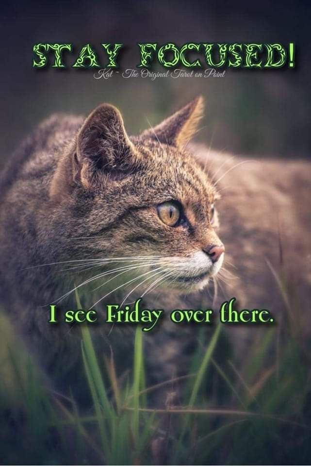 Pretty day... 

Last Friday of 2024.