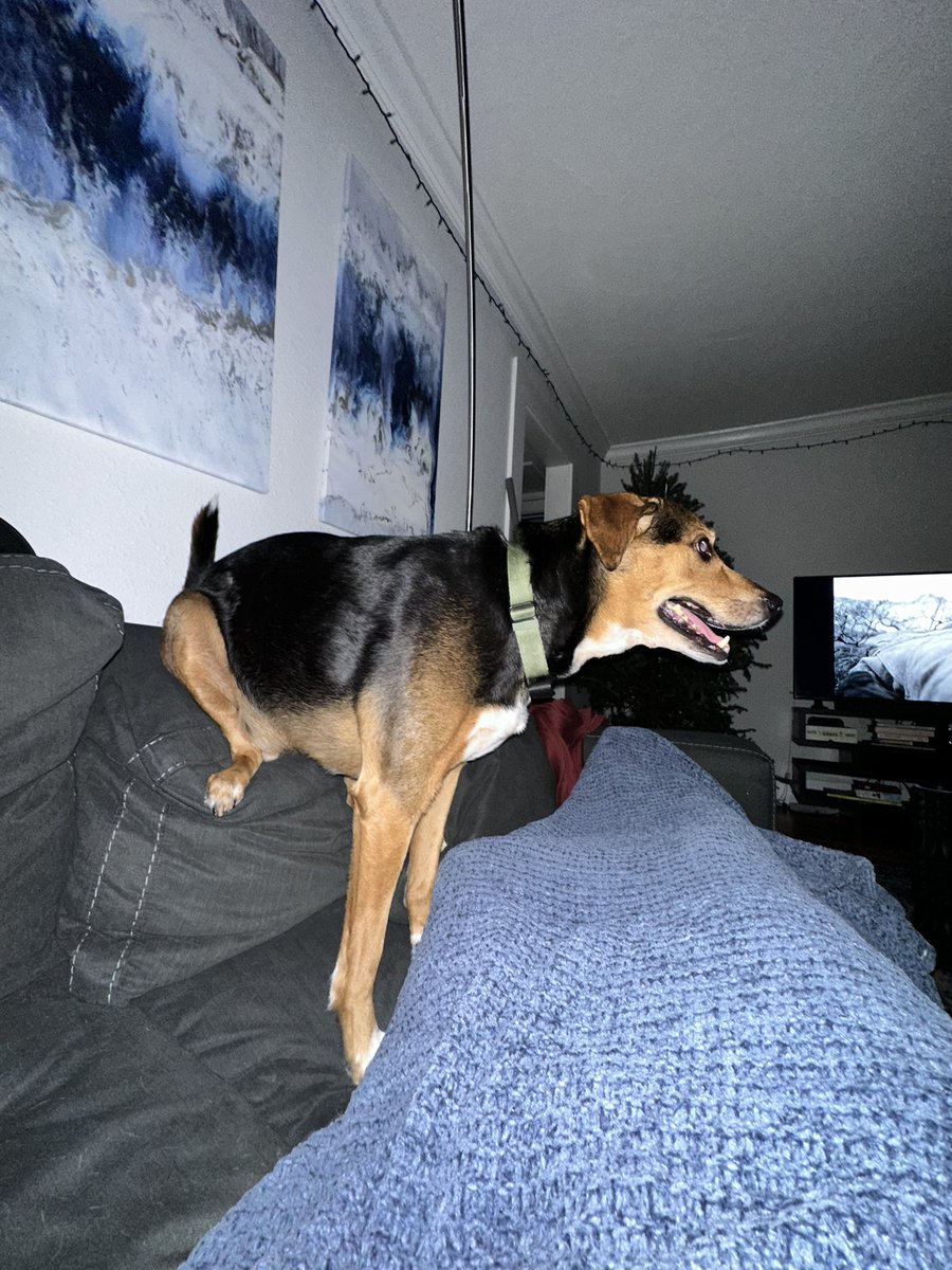 What am I supposed to do with this