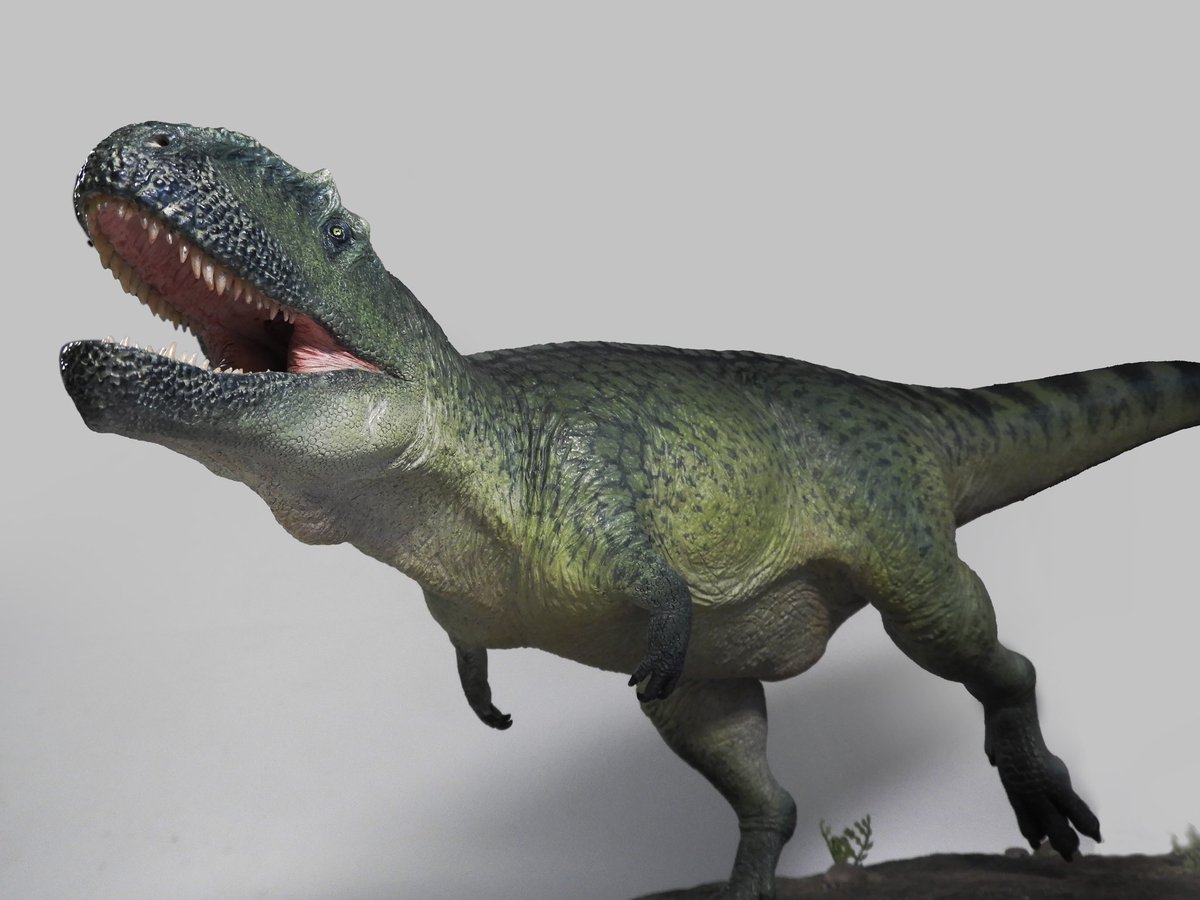 dinoesculturas's tweet photo. #Giganotosaurus - Escultura escala 1:24. Masilla epoxi y arcilla polimérica. Comisión a pedido - 1/24 scale sculpture. Epoxy and polymeric clay. Commissioned #dinosaur  #handmade #handsculpted #handpainted #handmodelled #paleoart #cretaceous #patagonia #argentina #mesozoic https://t.co/2C8ZNUtJ77