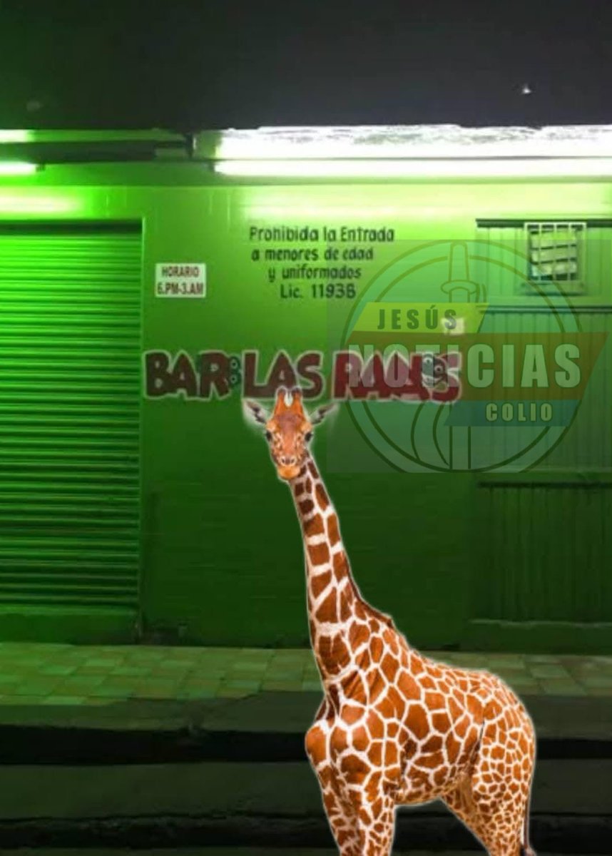JesusColio's tweet image. #Culiacán #Sinaloa
#Culiacanazo

Tras la desaparición oficial de al menos una JIRAFA del #zoológico de Culiacán, comenzaron los memes en redes sociales.